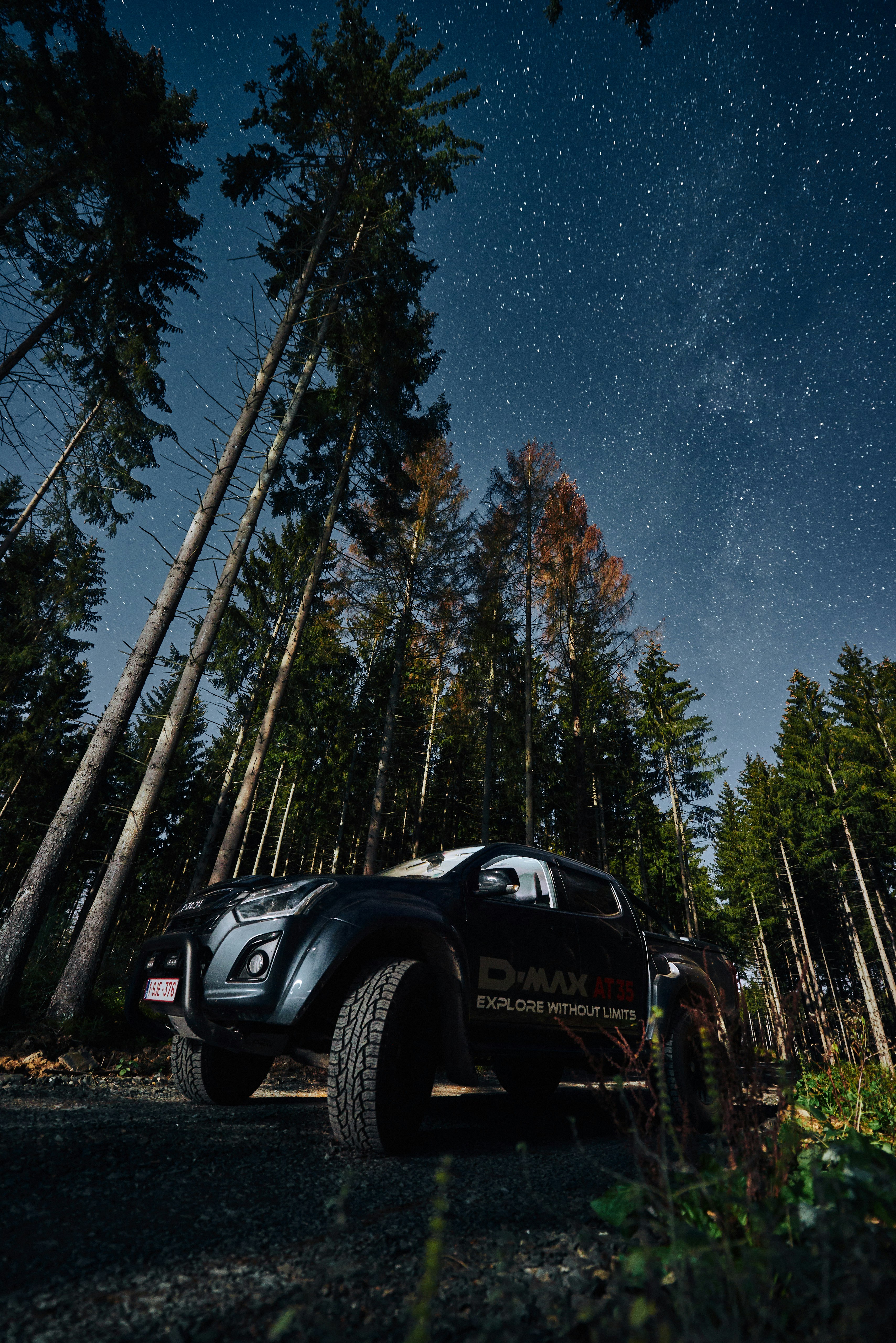 black Isuzu D-Max parked near forest trees during night time